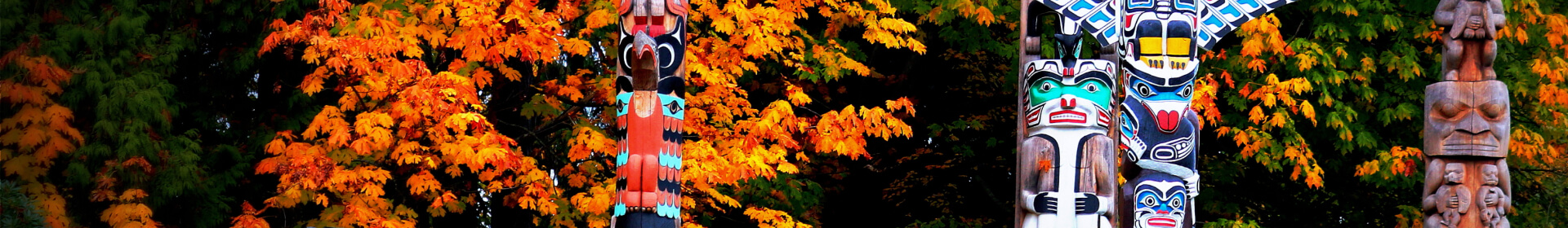 Habilidades Transferibles: Convertir Cualquier Experiencia en Oportunidades Profesionales