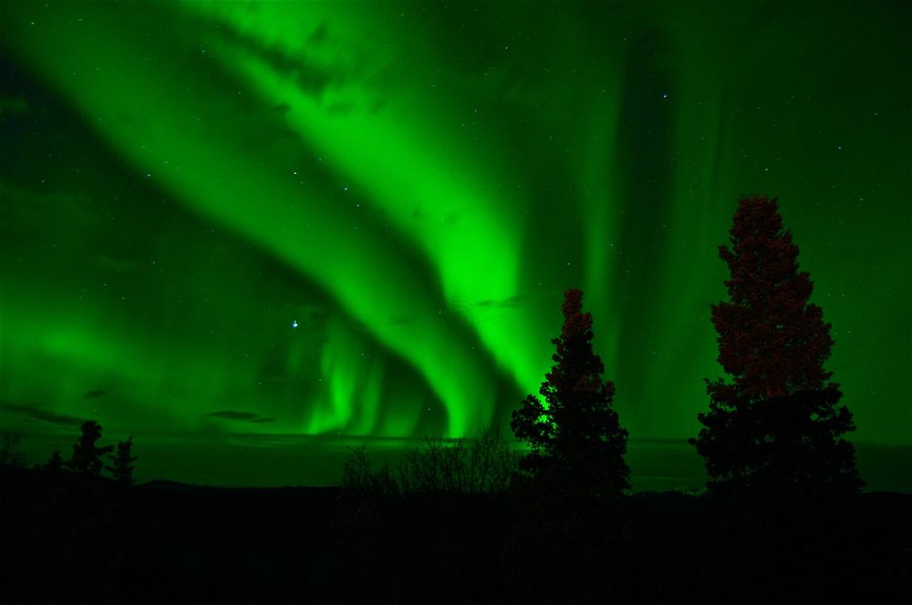 5 Great Things to do in Edmonton Aurora Borealis lights over nightime sky