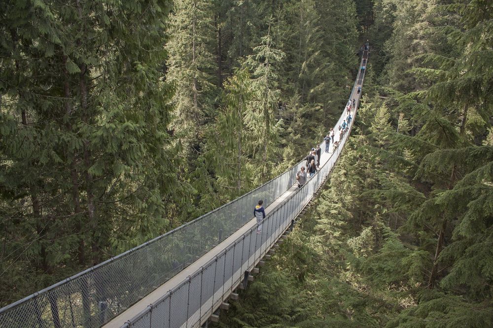 What to do in Vancouver Capilano Suspension bridge, Vancouver