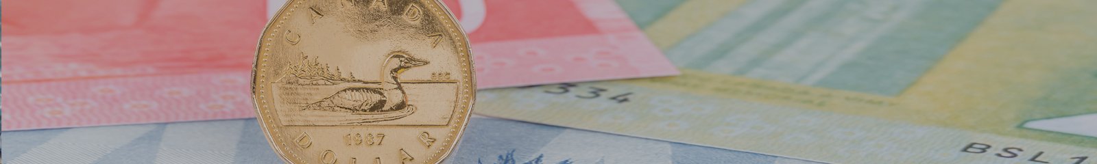VCanada’s economy is one of the world’s biggest and most stable. Learn more about the Canadian economy and how it works right here. VCanada’s economy is one of the world’s biggest and most stable. Learn more about the Canadian economy and how it works right here.