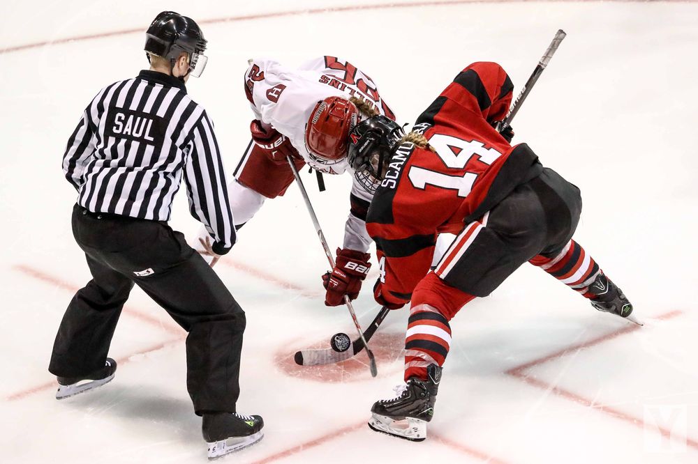 10 Fun Facts about Hamilton official hockey match