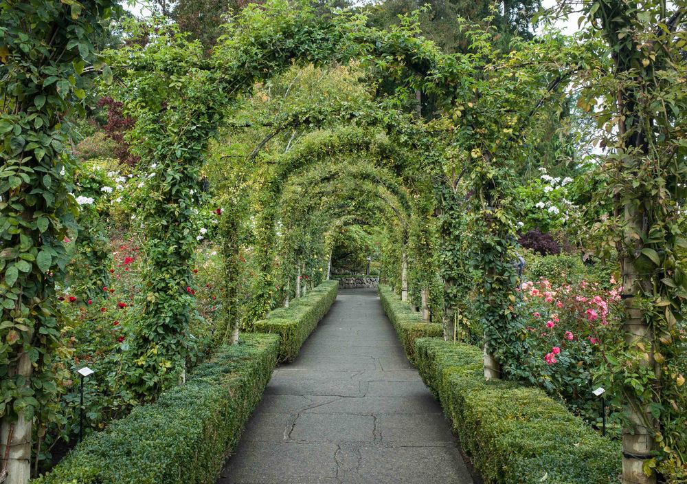 https://canadianvisa.org/blog/cities-and-places/victoria-bc/10-fun-facts-about-victoria Butchart Gardens in Victoria BC