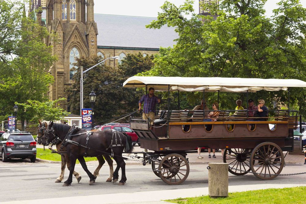 Cost of Living Charlottetown Toursits on 2 horse carriage tour Charlottetown