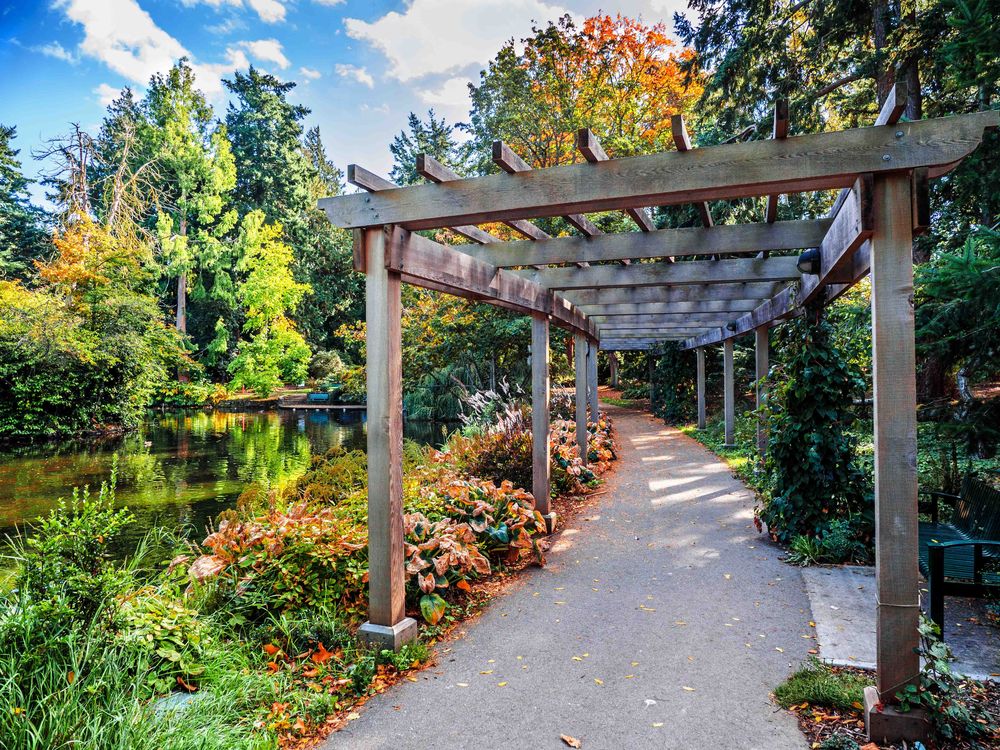 Top 10 Reasons to Visit Victoria Beacon Hill Park, Victoria BC