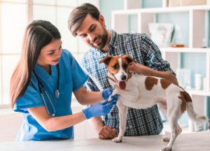 Top Occupations In Demand In Canada For 2018