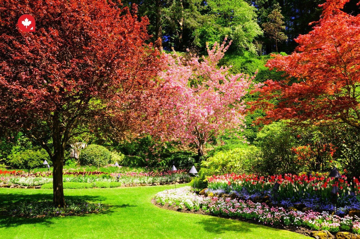 New Zealand's immigration system