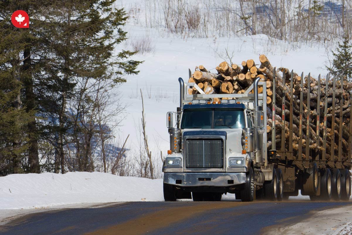 Canadian Industry: Your Next Step?