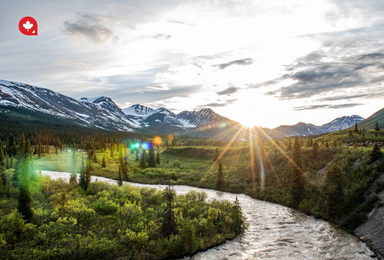 Find the Great in the Great White North