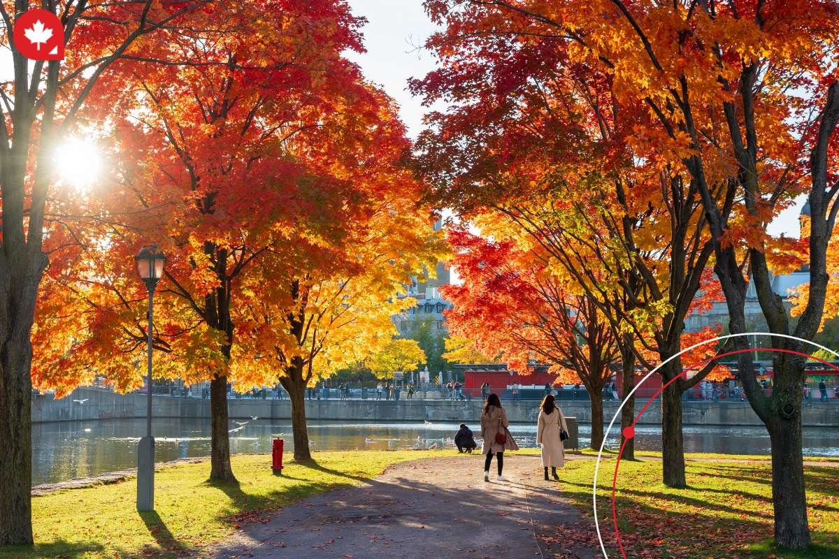 Learn more about Quebec's new student allocation plan for its universities. Learn more about Quebec's new student allocation plan for its universities.