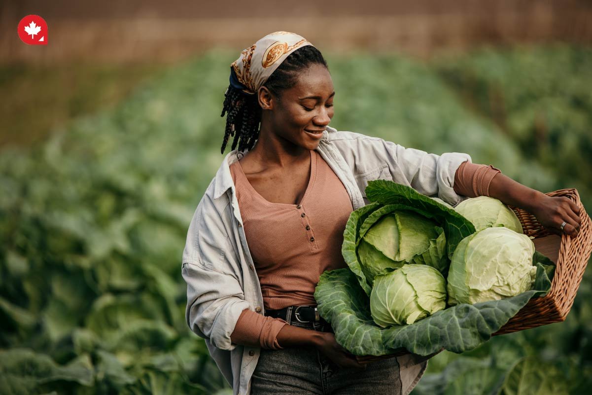 The Top Low-skilled Jobs For Temporary Foreign Workers in Canada | CanadianVisa What Are The Top Sectors for Low-skilled Temporary Foreign Workers in Canada?