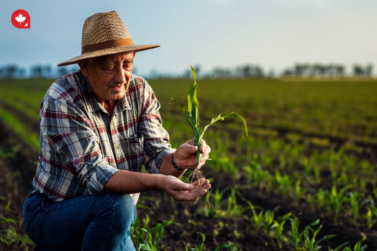 Sectors That Need the Most Temporary Foreign Workers in Canada | CanadianVisa Which Sectors Need the Most Temporary Foreign Workers in Canada?