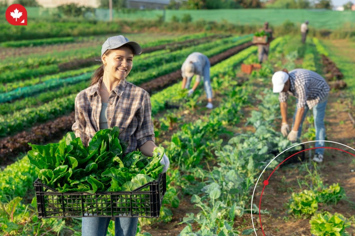 Discover effective strategies for new immigrant workers to stay productive and motivated during the Canadian summer months.