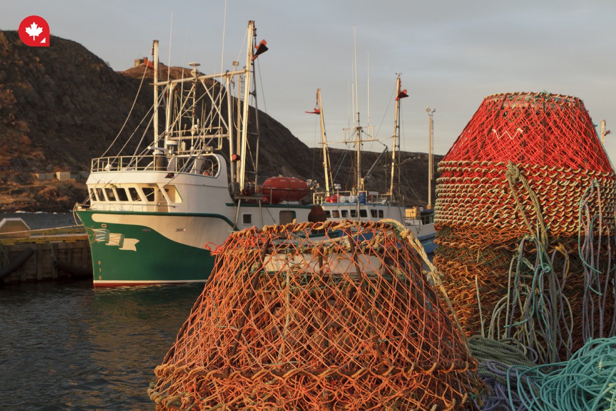 If You Have a Job Offer in Newfoundland and Labrador: