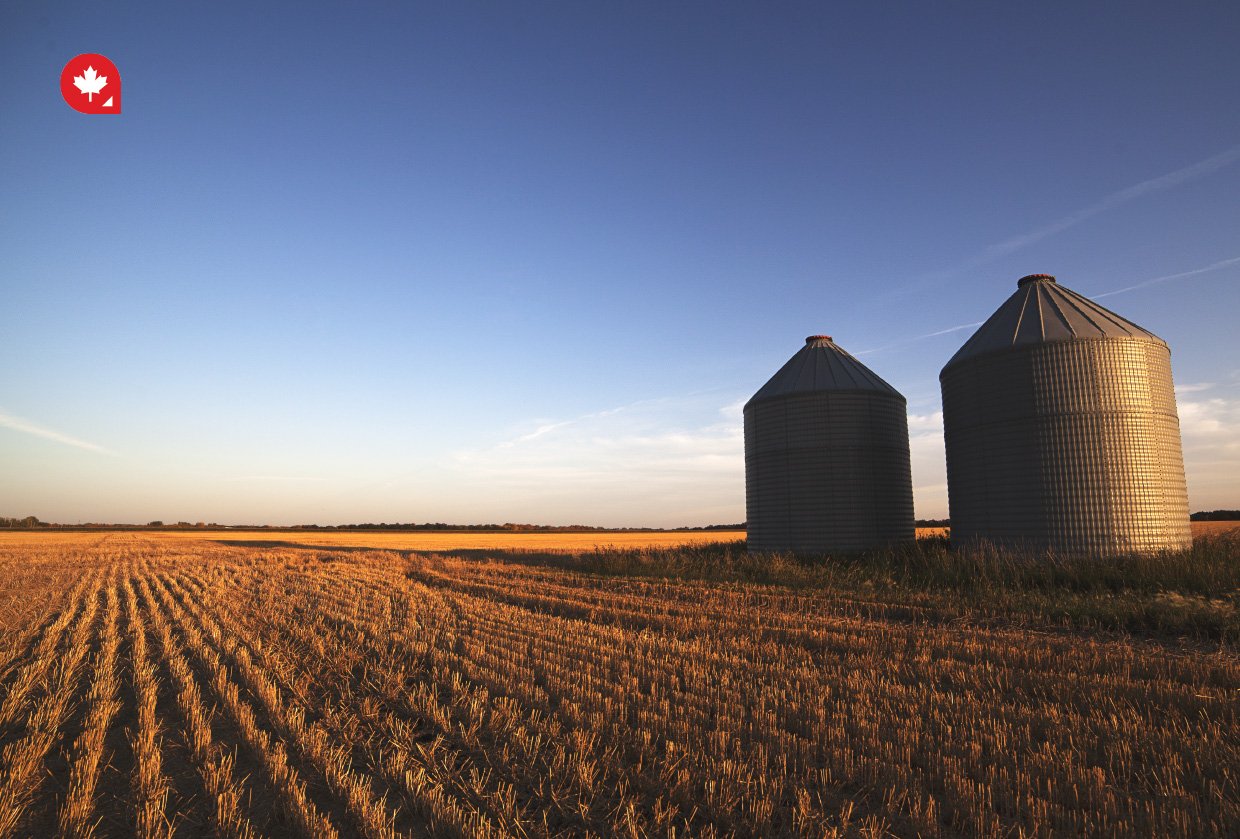 If You Want to Buy or Start a Farm in Saskatchewan