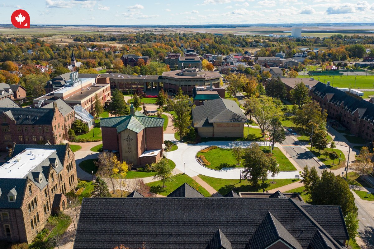 If You Have a Job Offer in New Brunswick: