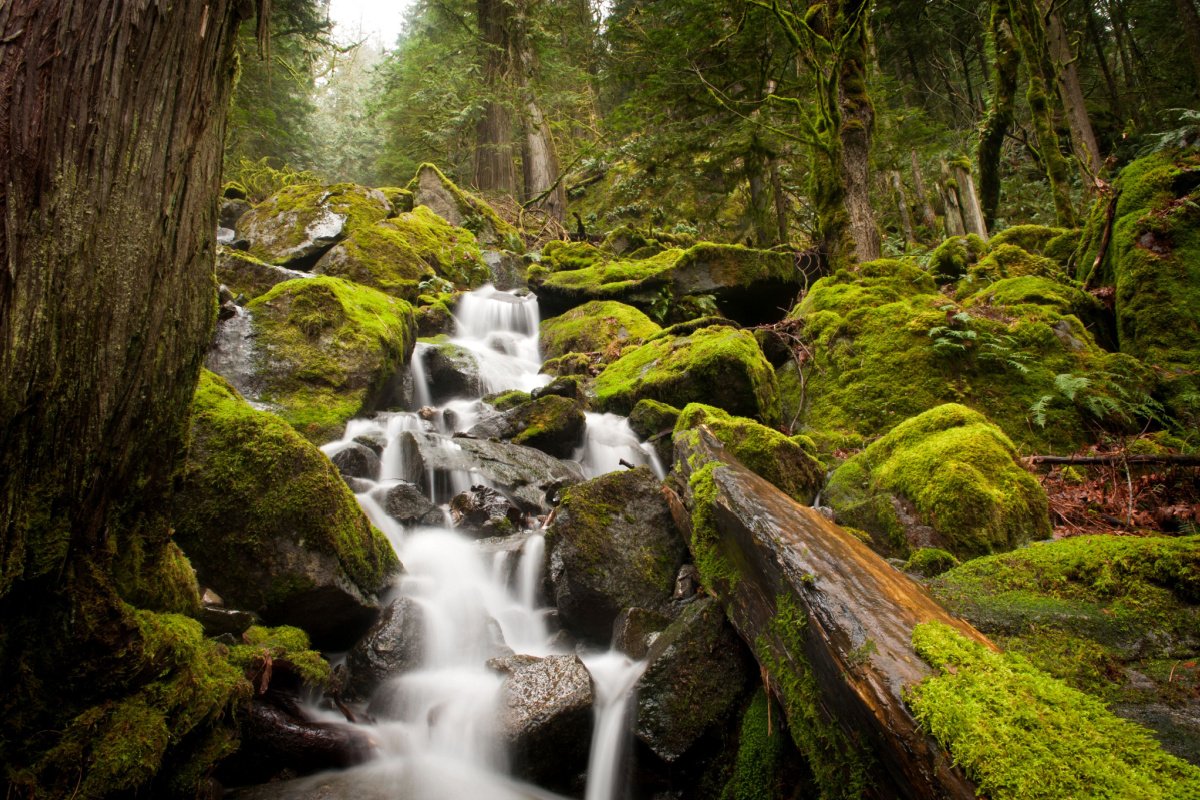 Life in the Northwest Territories