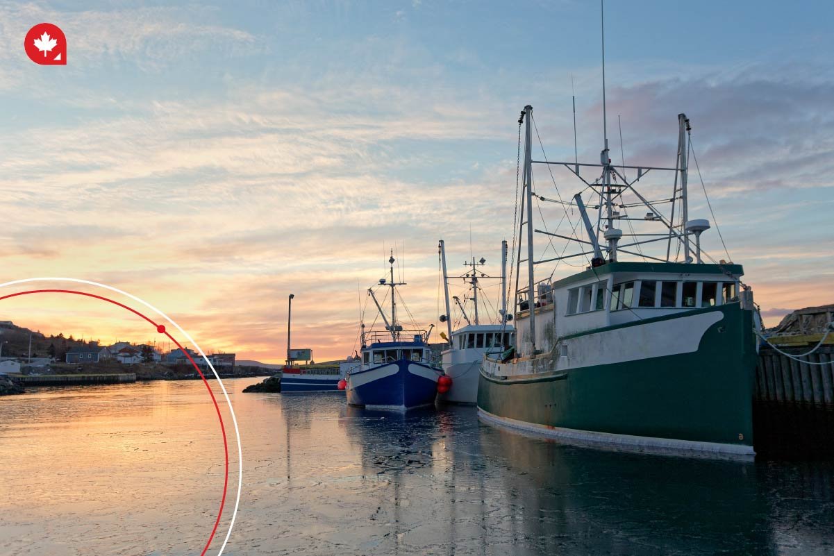 Learn more about the  step by step process to follow when you apply to the  Canada AIPP.
 Learn more about the  step by step process to follow when you apply to the  Canada AIPP.