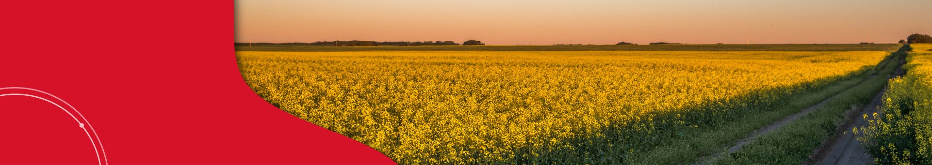 المهن المطلوبة في ساسكاتشوان في 2023
