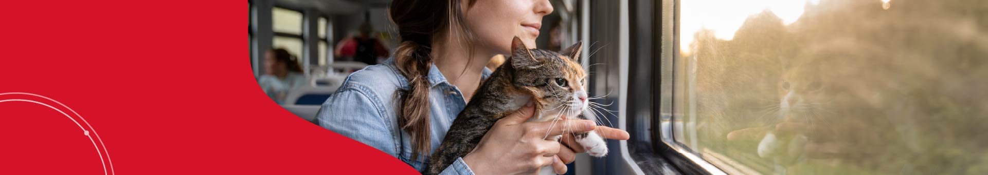 Your Complete Guide to Moving Your Pets to Canada: Tips & Requirements Your Complete Guide to Moving Your Pets to Canada: Tips & Requirements