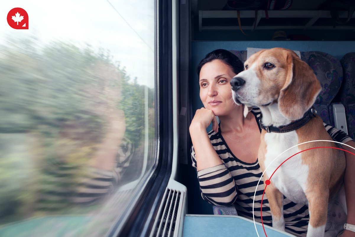 Moving to Canada with your pet? Find out what your fur-child needs for the new, exciting journey ahead!
 Moving to Canada with your pet? Find out what your fur-child needs for the new, exciting journey ahead!