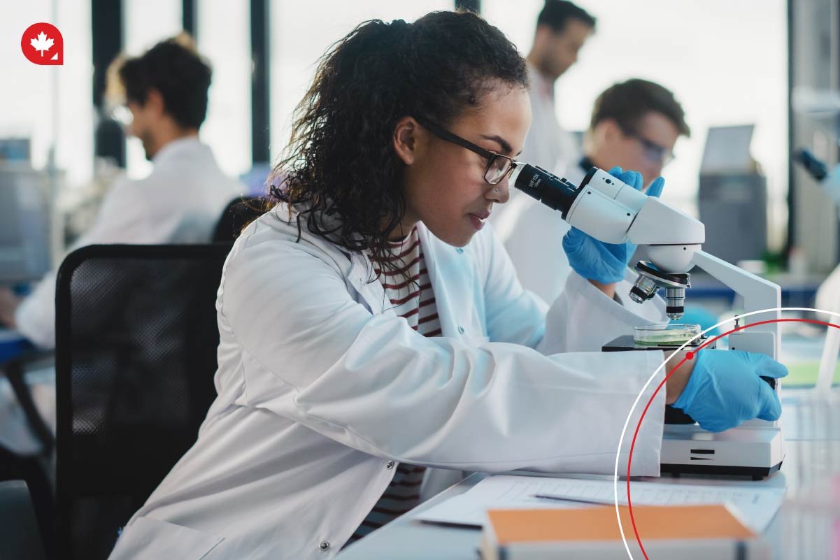 Some of the best courses to Study in Canada will help ensure you have a successful career and future in Canada Some of the best courses to Study in Canada will help ensure you have a successful career and future in Canada