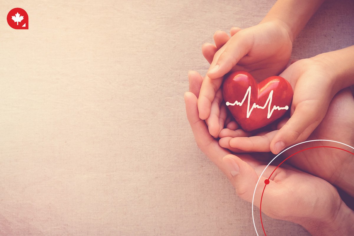 Discover how healthcare works in Canada, including coverage, registration processes, and essential information for newcomers, in our comprehensive blog guide.
 Discover how healthcare works in Canada, including coverage, registration processes, and essential information for newcomers, in our comprehensive blog guide.