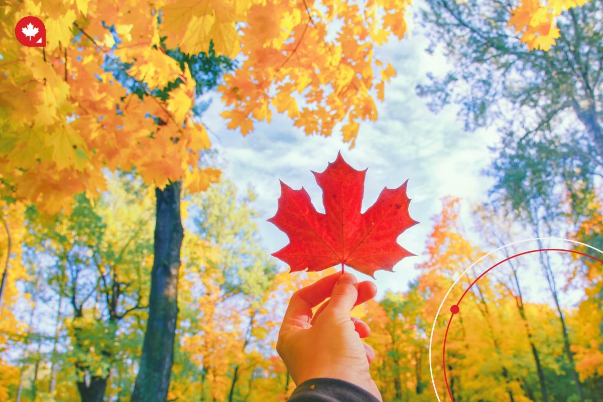 Discover the magic of fall in Canada! Learn about autumn traditions, vibrant fall foliage, harvest festivals, and more as you plan your move or visit during this breathtaking season.