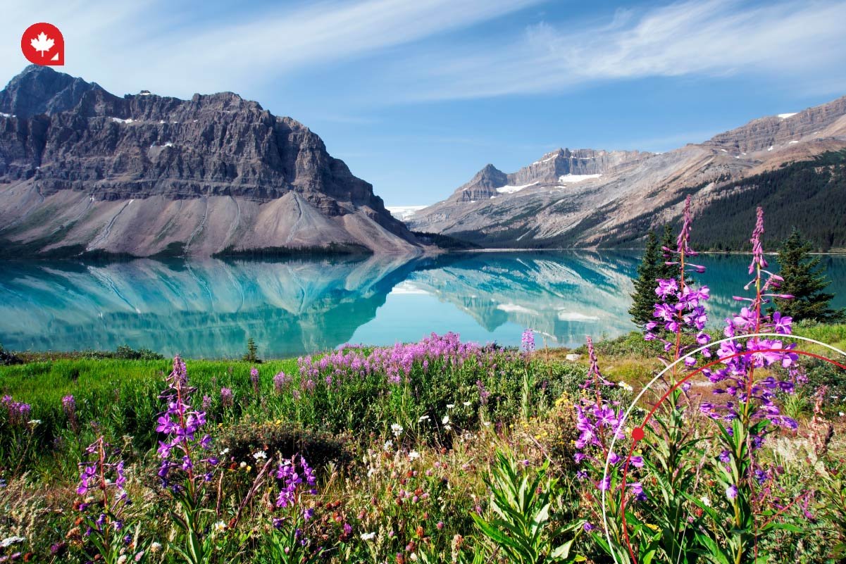 Discover why skilled trades workers should consider immigrating to Alberta, where high demand, competitive salaries, and a high quality of life await.
