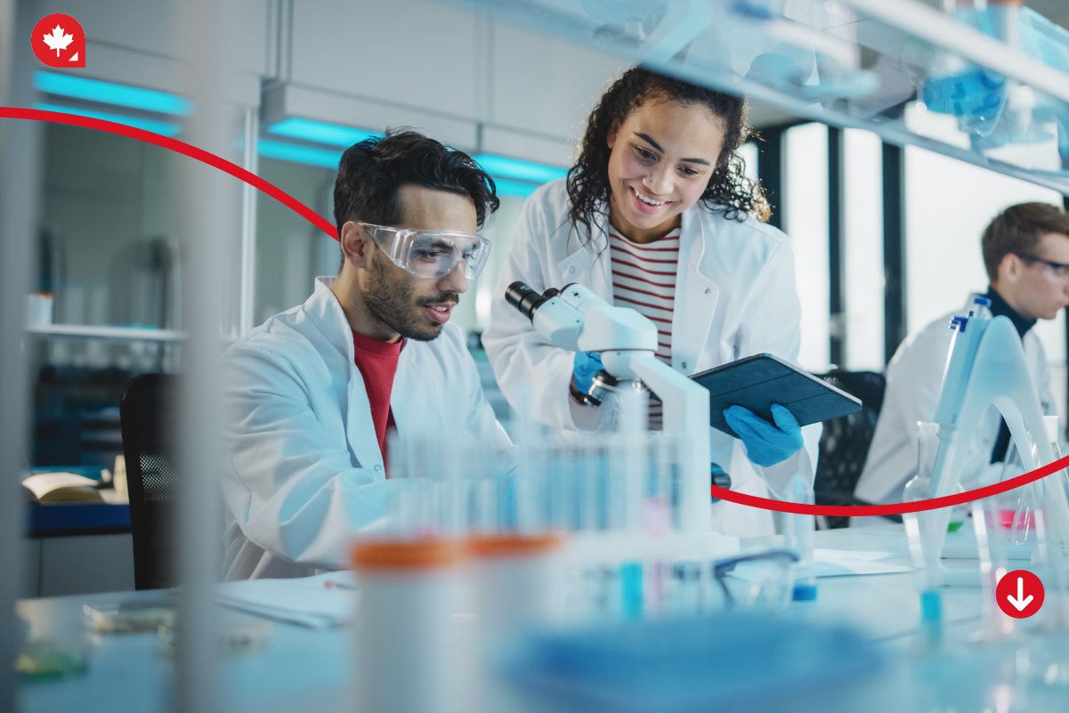 10 Best Courses to Study in Canada 10 Best Courses to Study in Canada