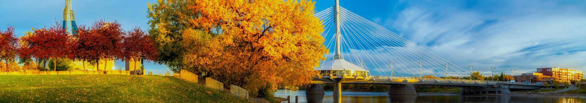 Here are three ways you can Immigrate to Manitoba after Your Studies.