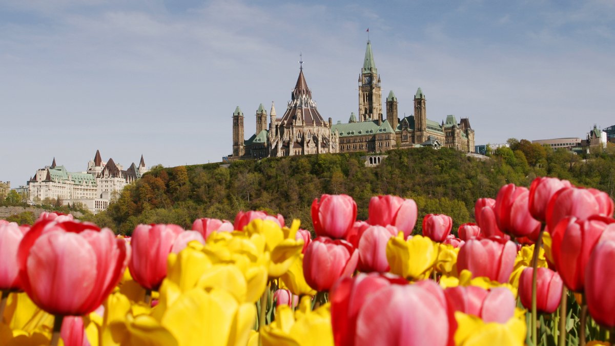 The Canadian Government Structure - Your Top 10 Questions Answered The Canadian Government Structure - Your Top 10 Questions Answered