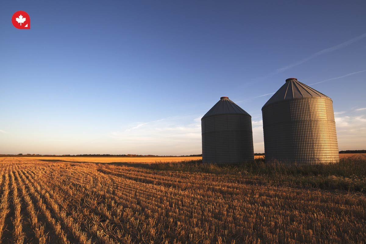 Soar to New Heights with a Canada Pilot Program