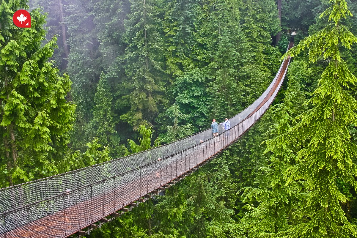 Bring the East to the West