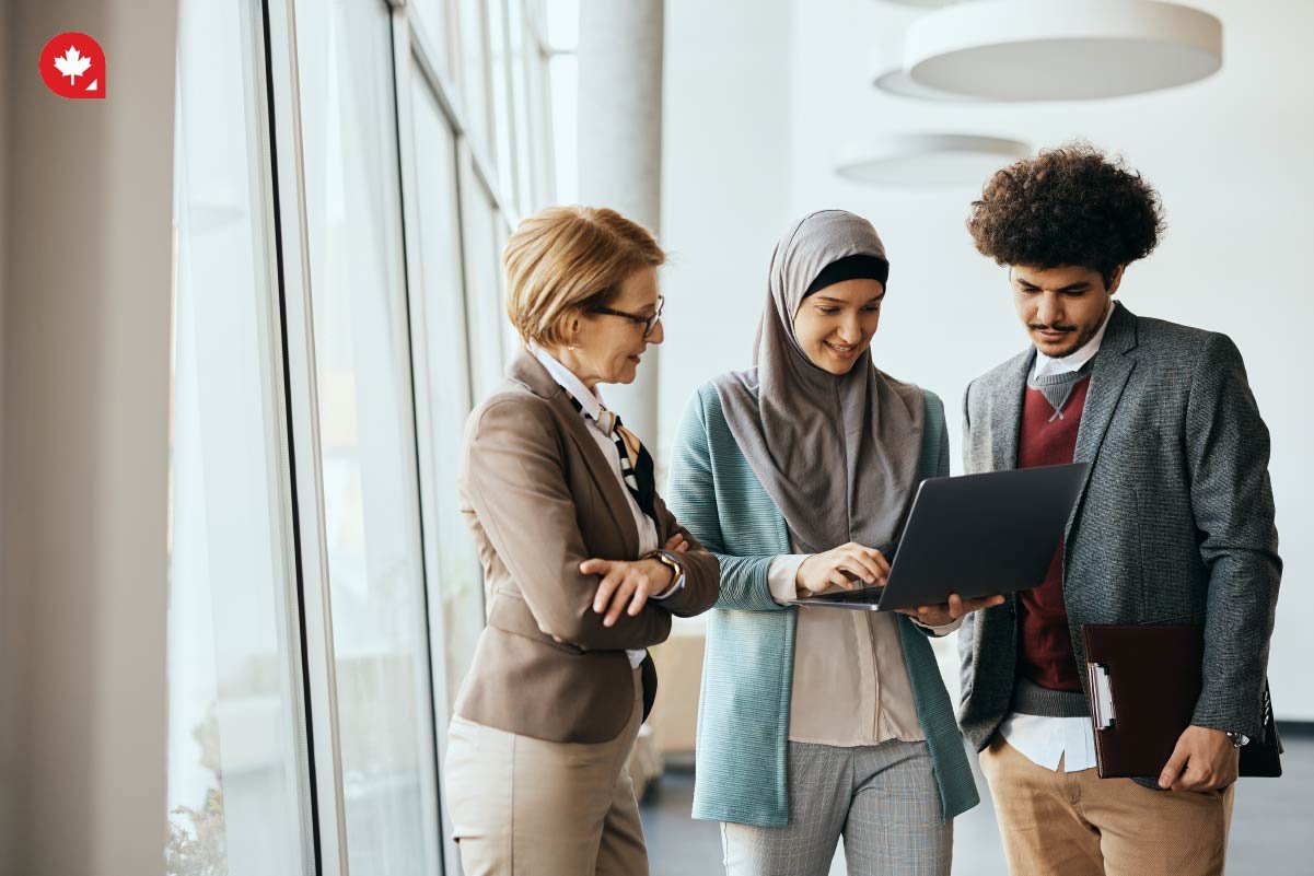 NOC What is the NOC?