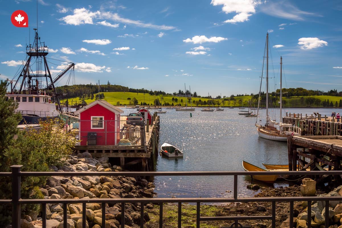 when do i need a SIN