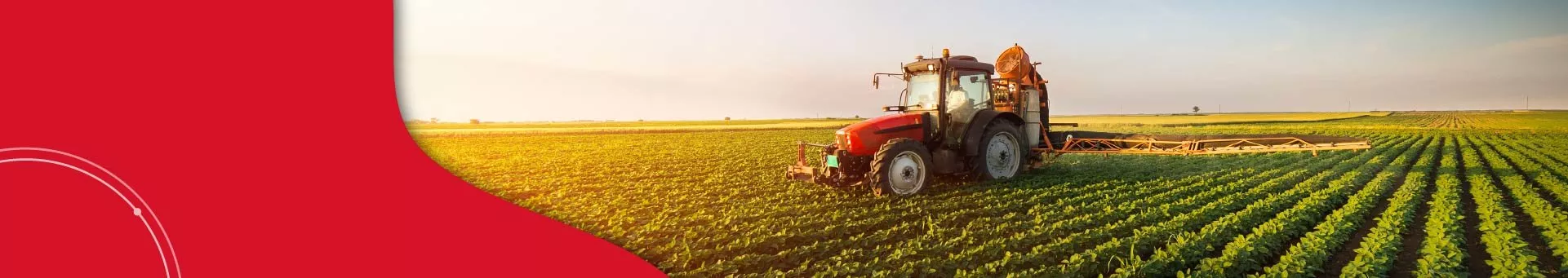البرنامج التجريبي للهجرة الزراعية الغدائية

