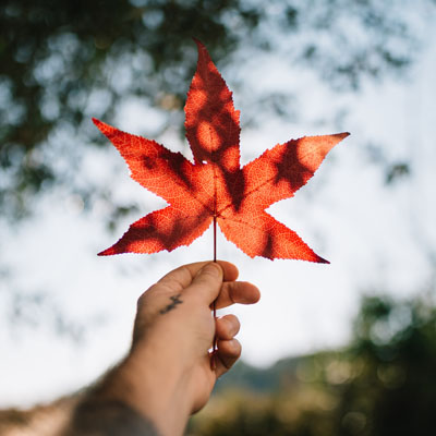 10 Reasons to Visit St. John's