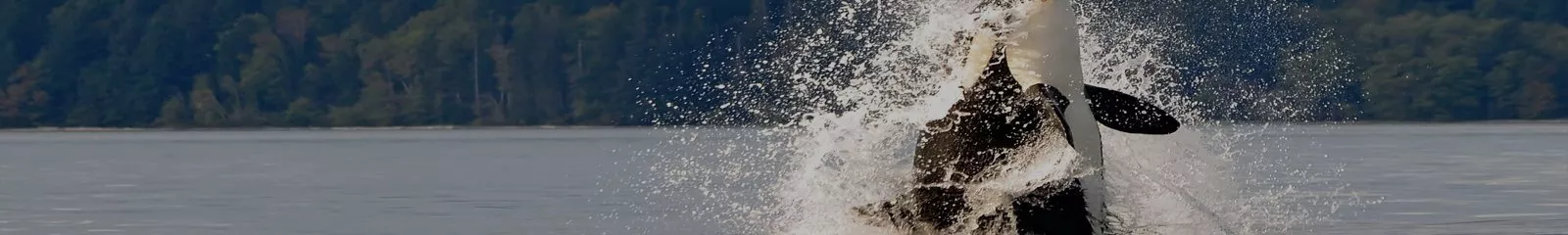 Learn all you need to know about life in British Columbia, home to some of the most beautiful cities in Canada, bordering the Pacific Ocean.  