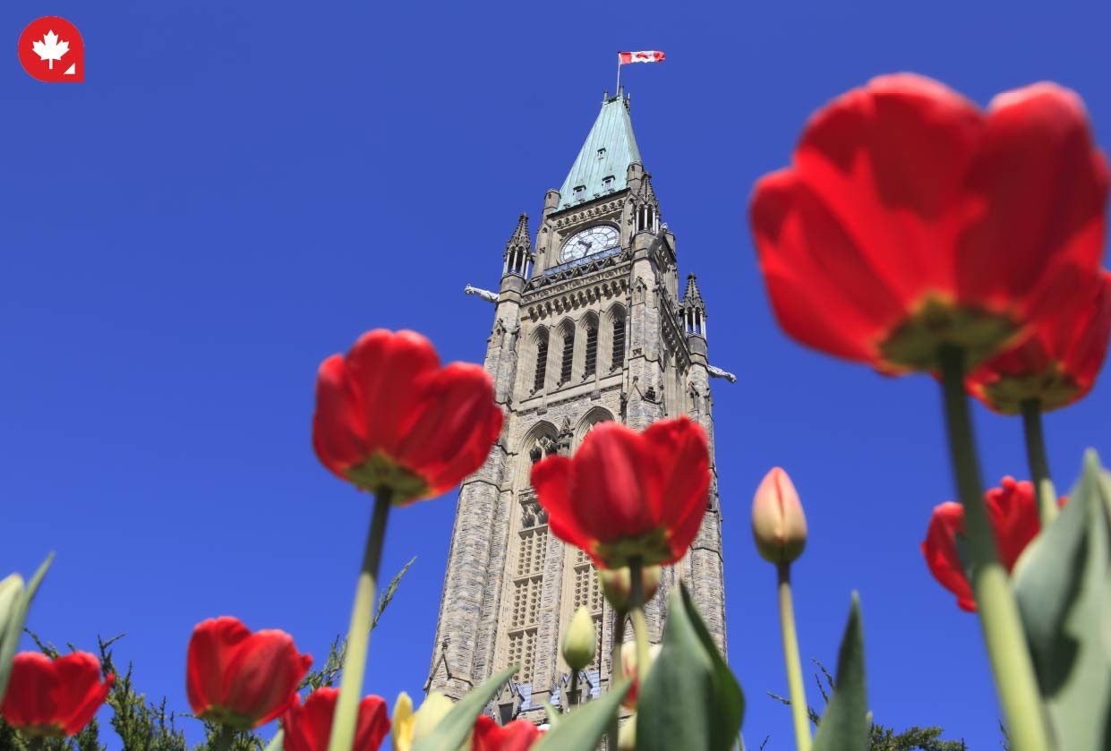 Happy Canada Day! Happy Canada Day!