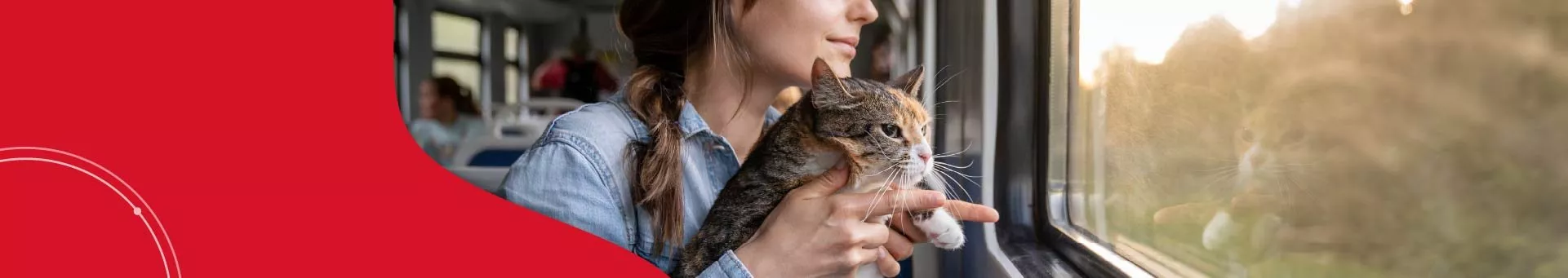 Your Complete Guide to Moving Your Pets to Canada: Tips & Requirements