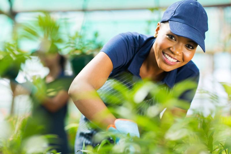 Top 10 Highest Paying In Demand Unskilled Jobs in Canada in 2020 smiling greenhouse worker | jobs in Canada
