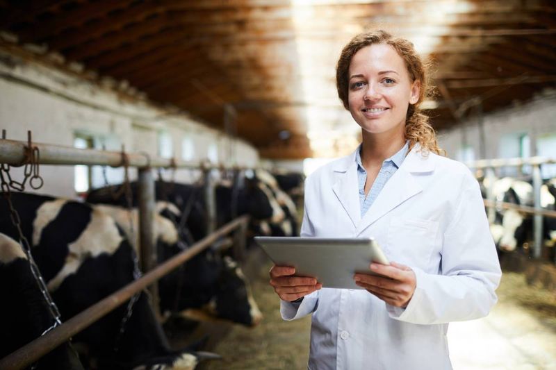 smiling woman working on tablet on livestock farm | business immigration to Canada